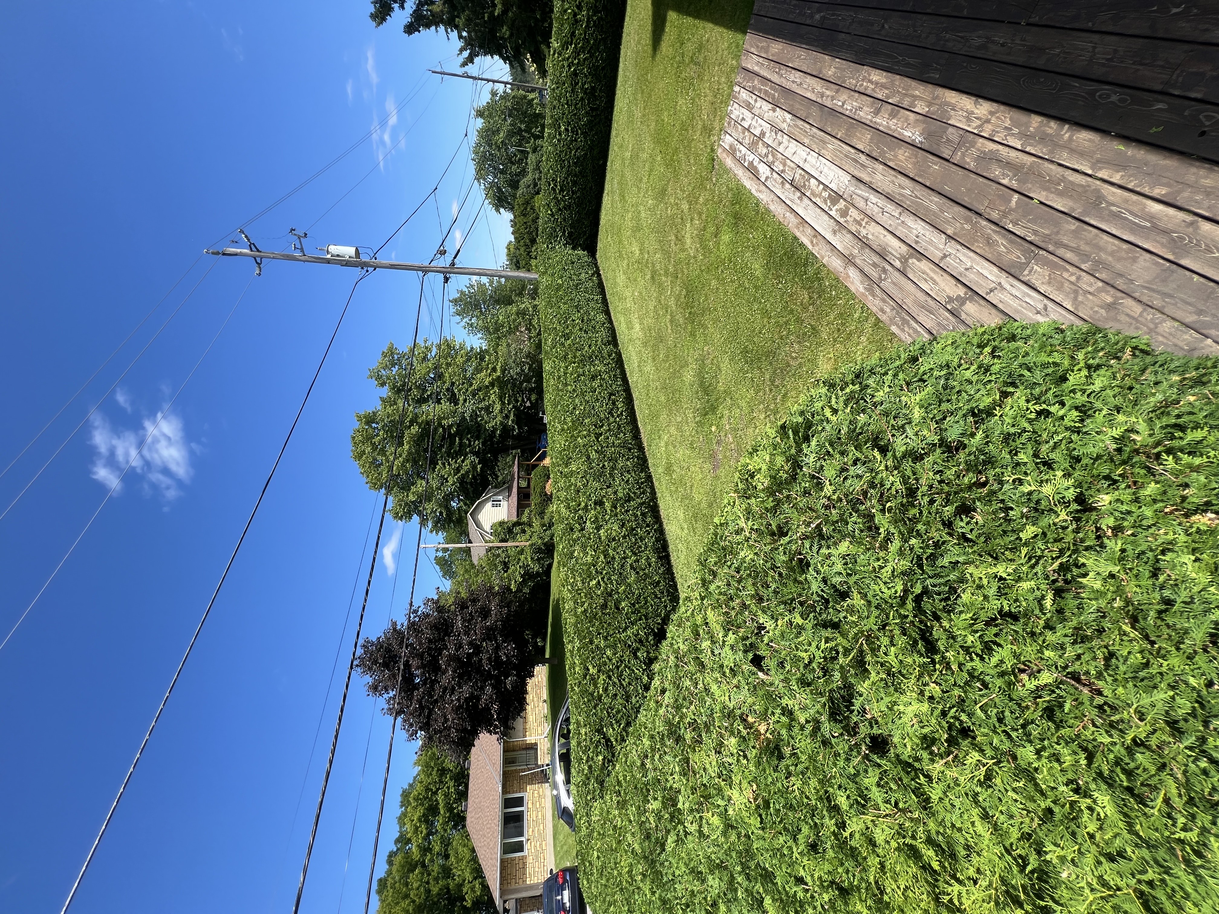 Trim job with truck and ladder