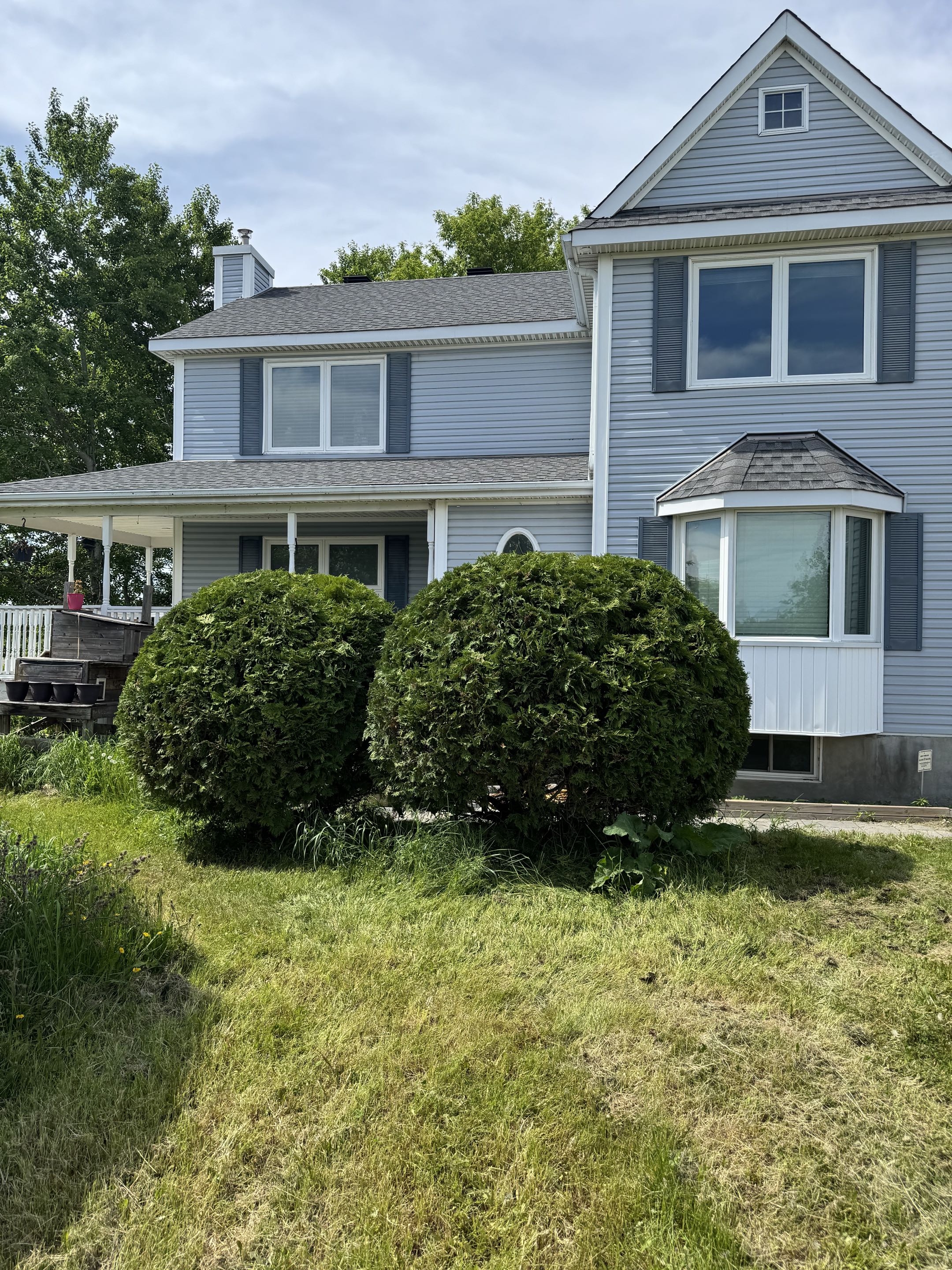 Tree pruning and hedge shaping