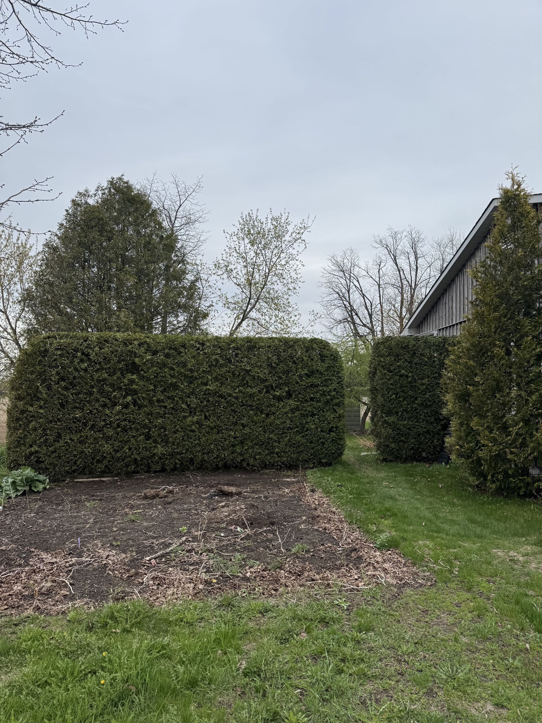 Well-defined hedge row
