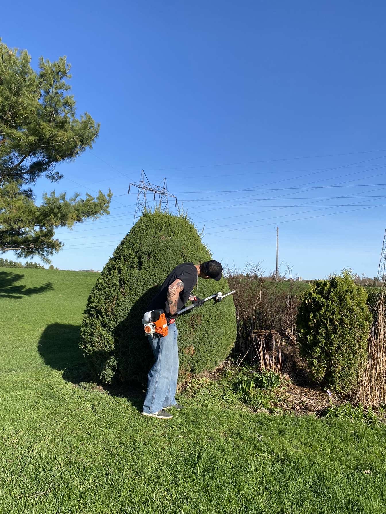 Finished yard cleanup